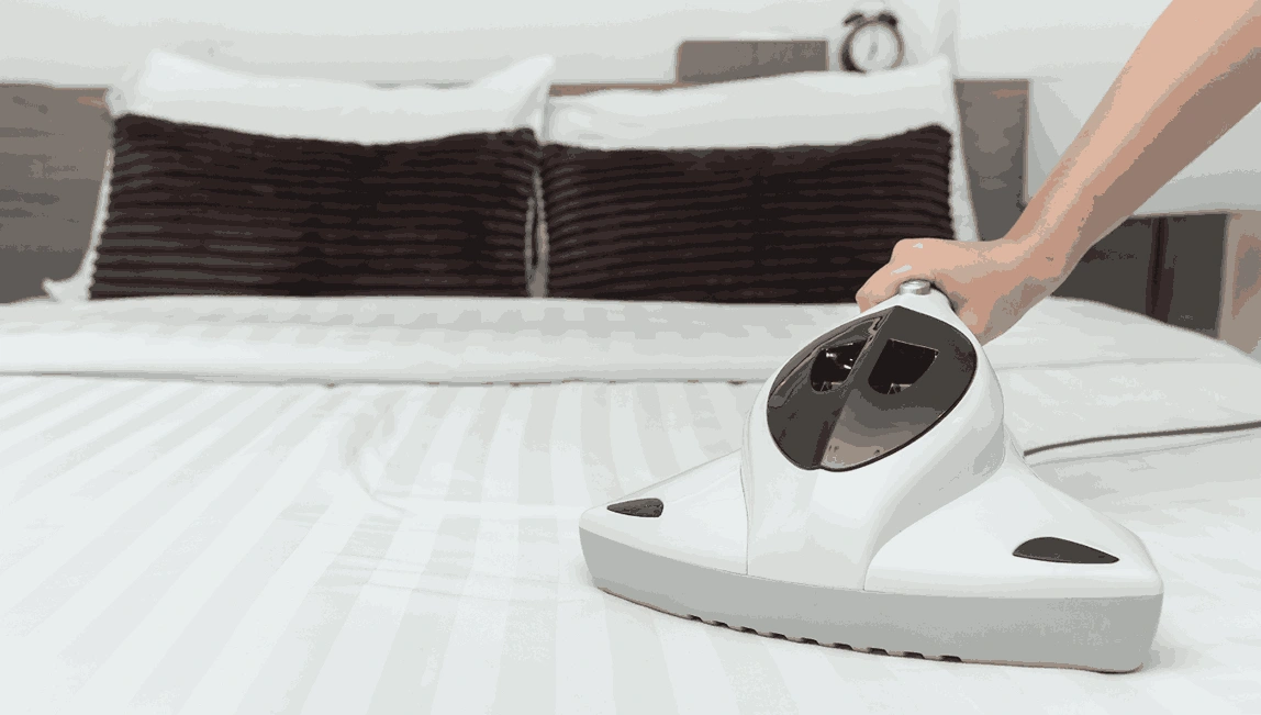 Professional Mattress Cleaning Warrenheip
